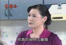 杨淑珍（电视剧《意难忘》中的人物）