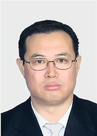 何振东(哈尔滨电气股份有限公司电站服务事业部原副总经理)