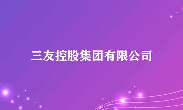 三友控股集团有限公司