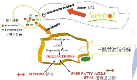 柑橘复方多酚