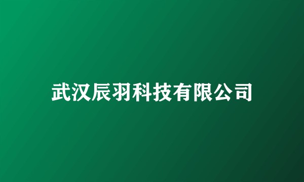 武汉辰羽科技有限公司