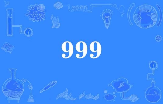 999（网络流行词）