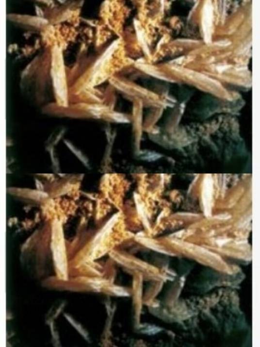 明帆石