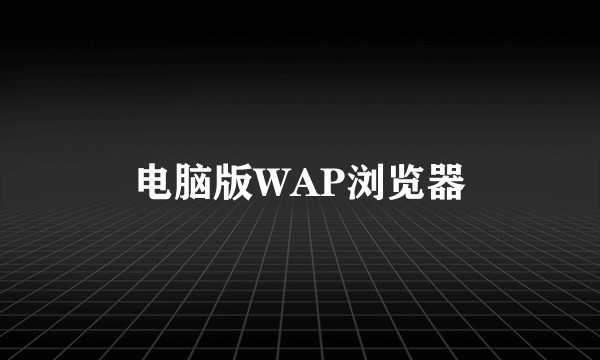 电脑版WAP浏览器