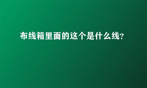 布线箱里面的这个是什么线？