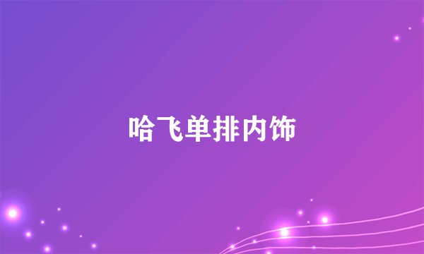 哈飞单排内饰