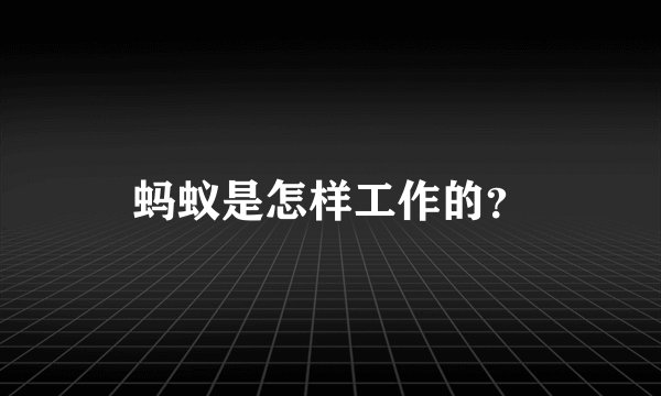 蚂蚁是怎样工作的？