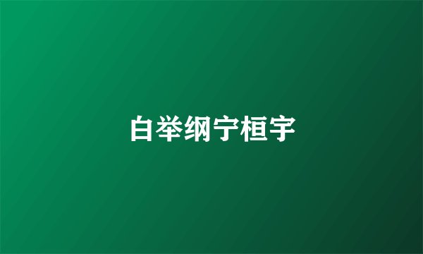 白举纲宁桓宇