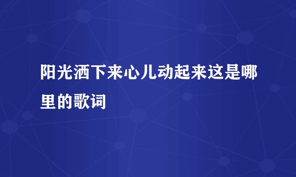 阳光洒下来心儿动起来这是哪里的歌词