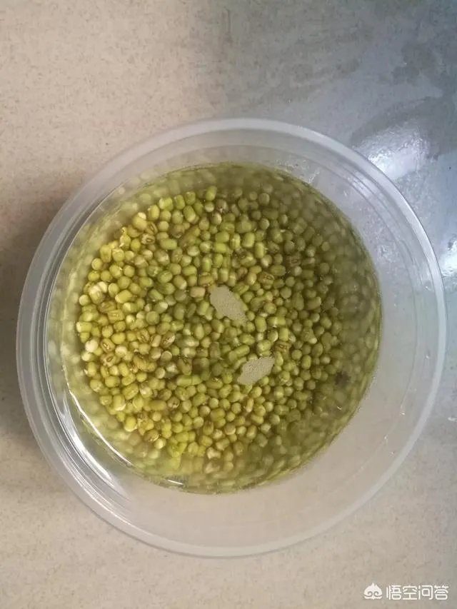 怎样生产豆芽？