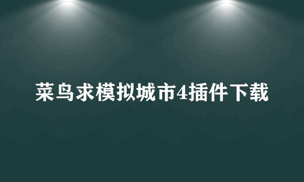 菜鸟求模拟城市4插件下载