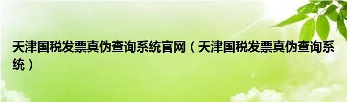 天津国税发票真伪查询系统官网（天津国税发票真伪查询系统）