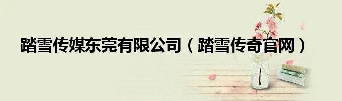 踏雪传媒东莞有限公司（踏雪传奇官网）