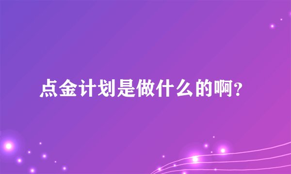 点金计划是做什么的啊？