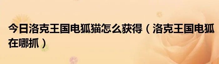 今日洛克王国电狐猫怎么获得（洛克王国电狐在哪抓）