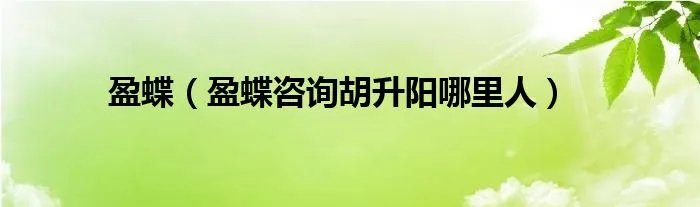 盈蝶（盈蝶咨询胡升阳哪里人）