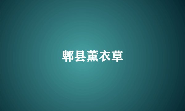 郫县薰衣草