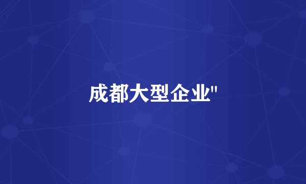 成都大型企业