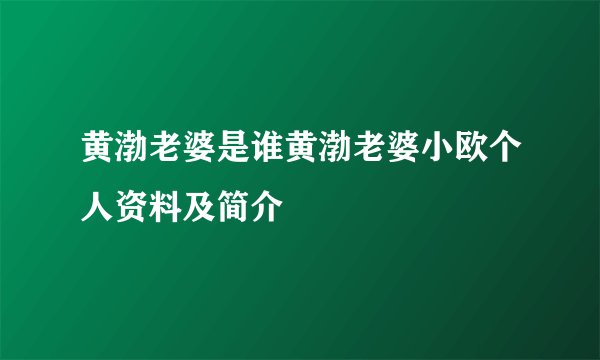 黄渤老婆是谁黄渤老婆小欧个人资料及简介