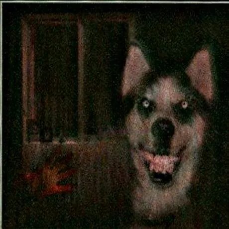 微笑狗smile.jpg谷歌原图吓人 搜smile dog五秒动态图的都后悔了