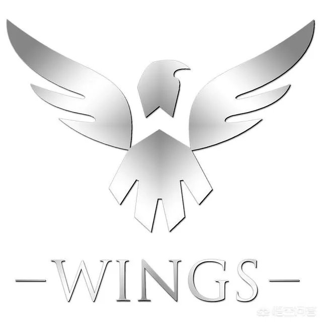 wings受邀参加重庆major，和liquid打表演赛，你咋看？