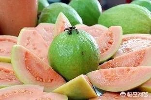 海南有什么特产？