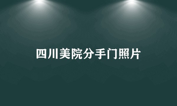 四川美院分手门照片