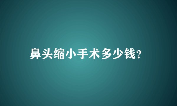 鼻头缩小手术多少钱？
