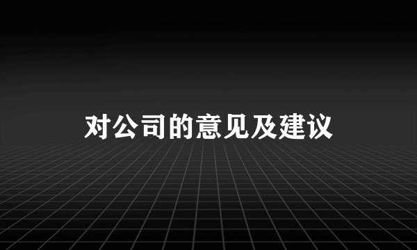 对公司的意见及建议