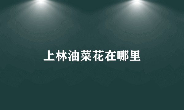 上林油菜花在哪里