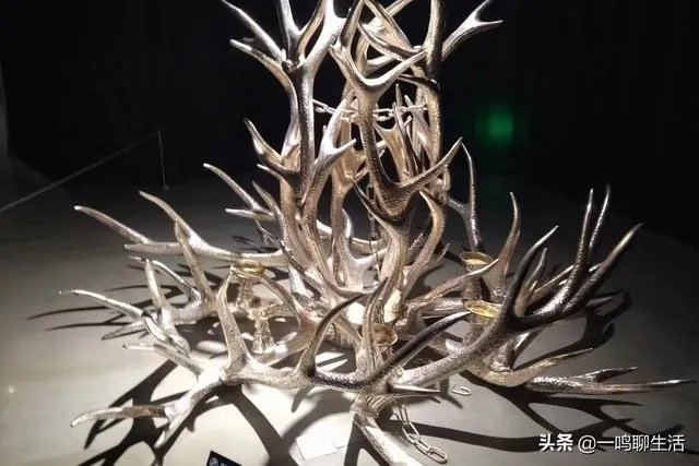 你见过最傻的男人是怎样的？
