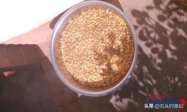 下雨天河边钓鱼,打鱼窝有没有效果,知道的老铁能否分享下经验?