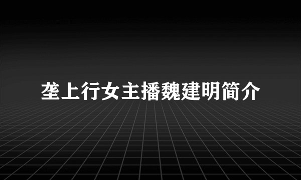 垄上行女主播魏建明简介