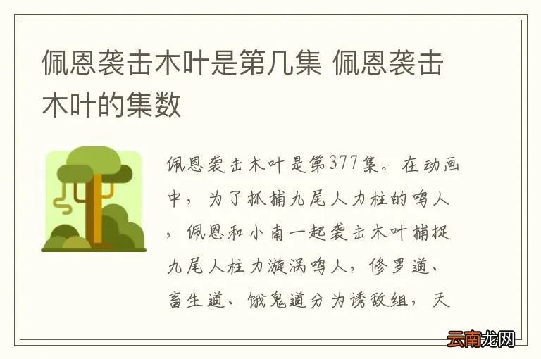 佩恩袭击木叶是第几集 佩恩袭击木叶的集数