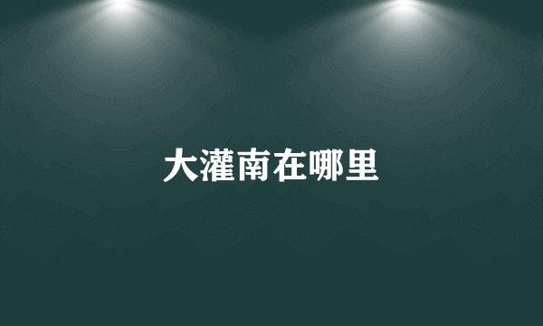 大灌南在哪里