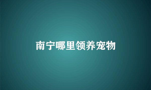 南宁哪里领养宠物