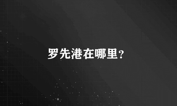 罗先港在哪里？
