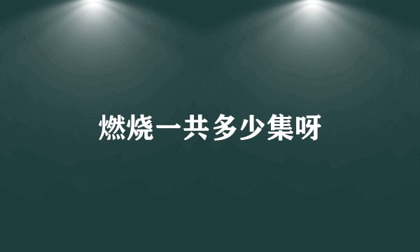 燃烧一共多少集呀