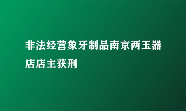 非法经营象牙制品南京两玉器店店主获刑