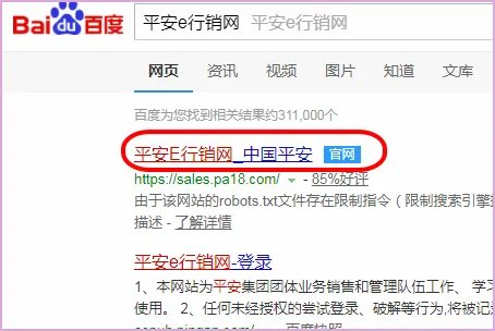 平安e行销网