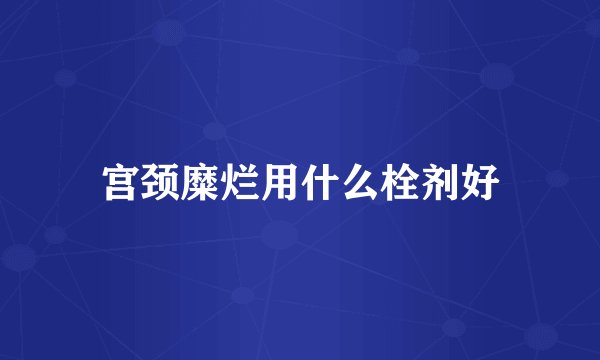 宫颈糜烂用什么栓剂好