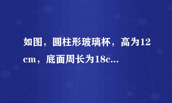 如图,圆柱形玻璃杯,高为12cm,底面周长为18cm,在杯内离杯底4cm的点C处有一滴蜂蜜,此时一只蚂蚁正好在杯外壁,离杯上沿4cm与蜂蜜相对的点A处,则蚂蚁到达蜂蜜的最短距离为( )cm.A.15B.$\sqrt{97}$C.12D.18