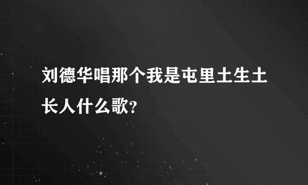 刘德华唱那个我是屯里土生土长人什么歌?