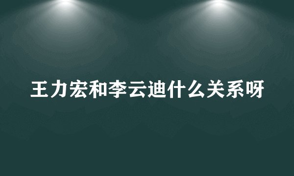 王力宏和李云迪什么关系呀