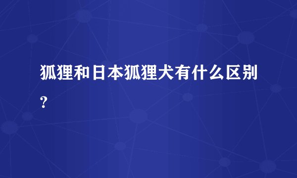 狐狸和日本狐狸犬有什么区别?