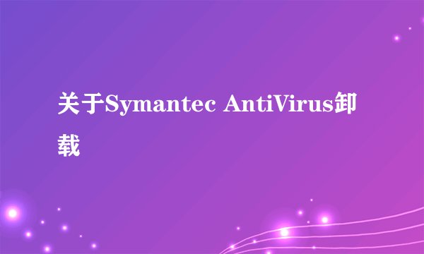 关于Symantec AntiVirus卸载問題