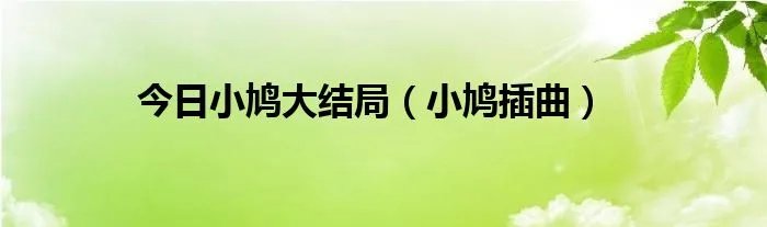 今日小鸠大结局（小鸠插曲）