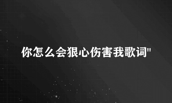 你怎么会狠心伤害我歌词