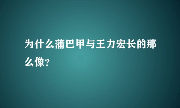为什么蒲巴甲与王力宏长的那么像？