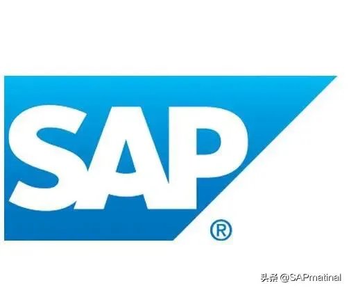 sap是一个什么样的公司?